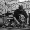 pistoia blues festival assistente al palco-1